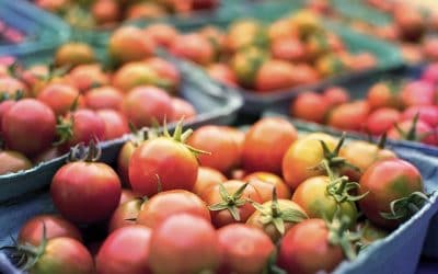 Stock Up on Farm-Fresh Food at Booths Corner Farmers Market Near Willowbrook Apartments