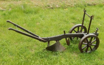 Check Out an Amish Mud Sale Near Your Apartment in Lancaster