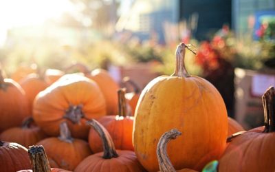 Expect Seasonal Agritainment at Froehlich Farm’s Fall Festival